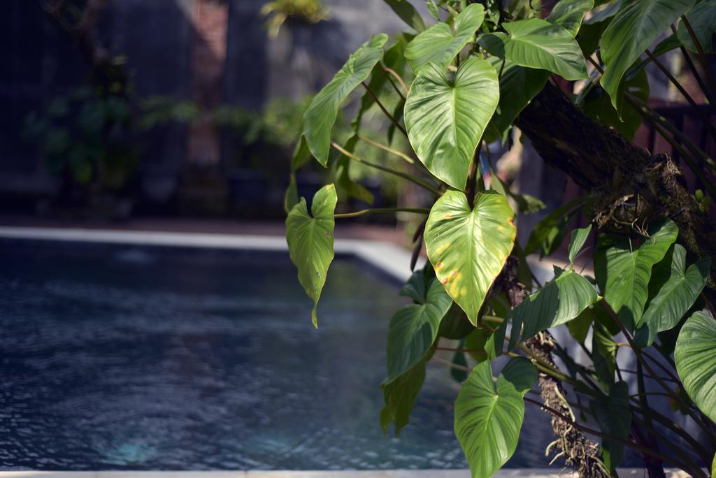 Wooden Villa by Prasi Ubud Exteriör bild